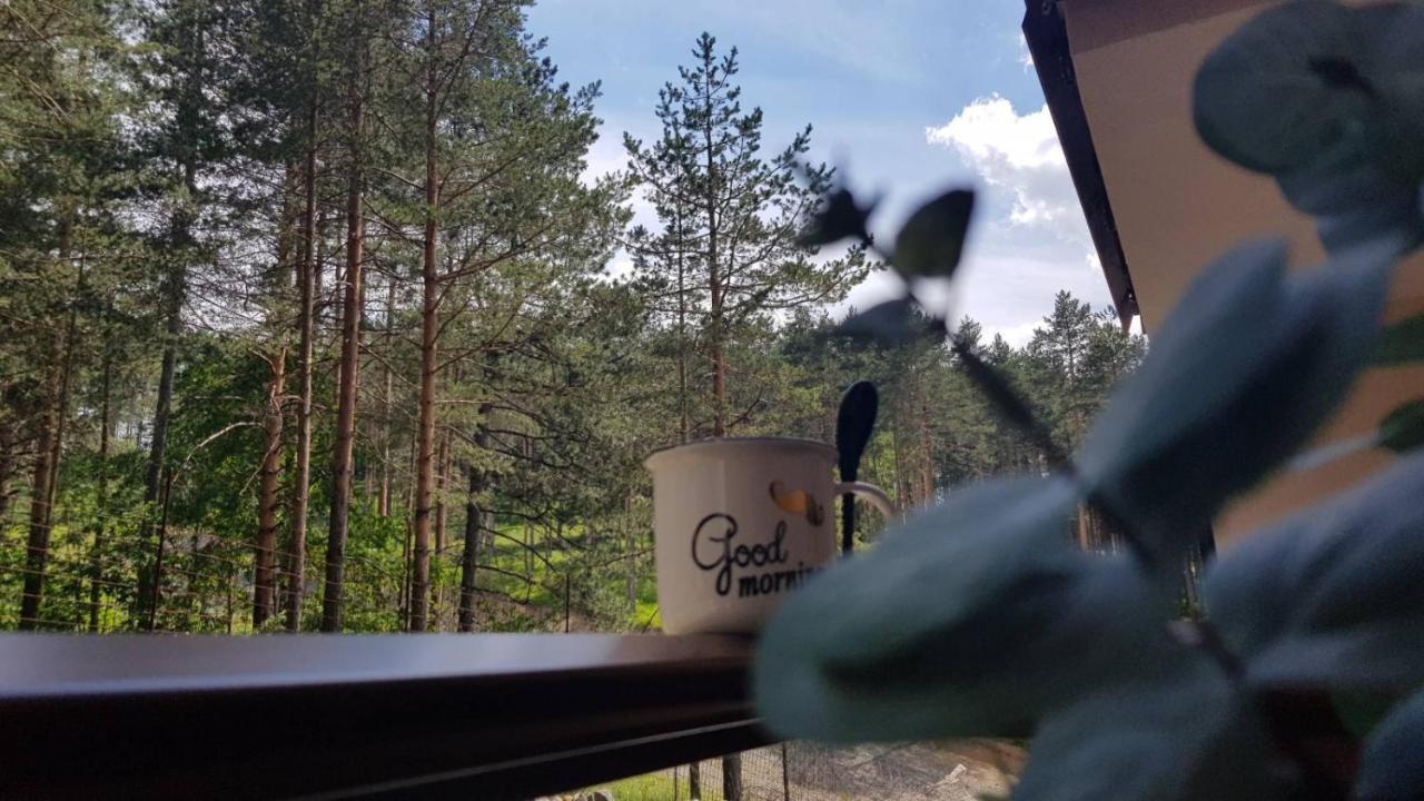 Lux Apartman S14 - Vila Pekovic Διαμέρισμα *
