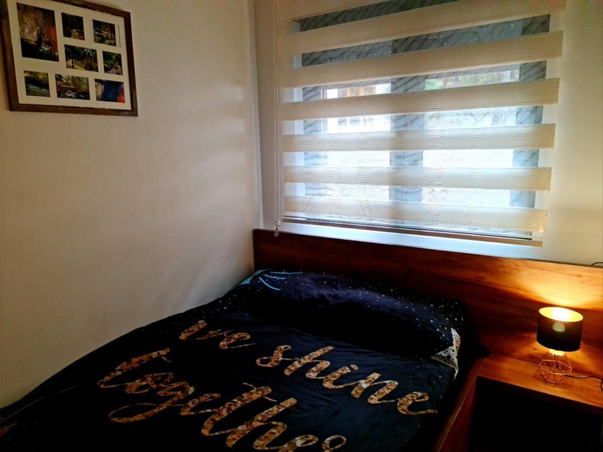 Lux Apartman S14 - Vila Pekovic *